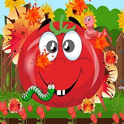 Tomato Explosion